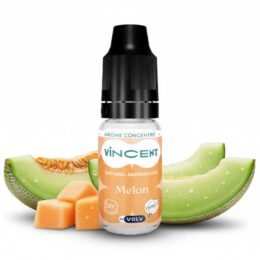 concentré melon naturel vincent vdlv