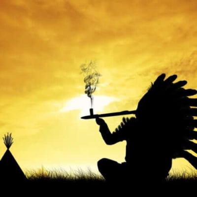 shaman Pur E liquide