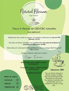 sachets--fleurs-de-cbd-natural-blossom