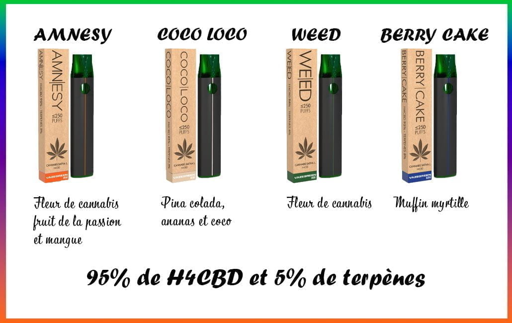 Puff-H4CBD---VazeGreen-Mini | Ciga France ® Puff-H4CBD---VazeGreen-Mini