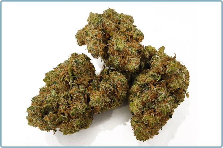 FLEUR-THCP-G13-fb-high-natural-blossom | Ciga France ® FLEUR-THCP-G13-fb-high-natural-blossom