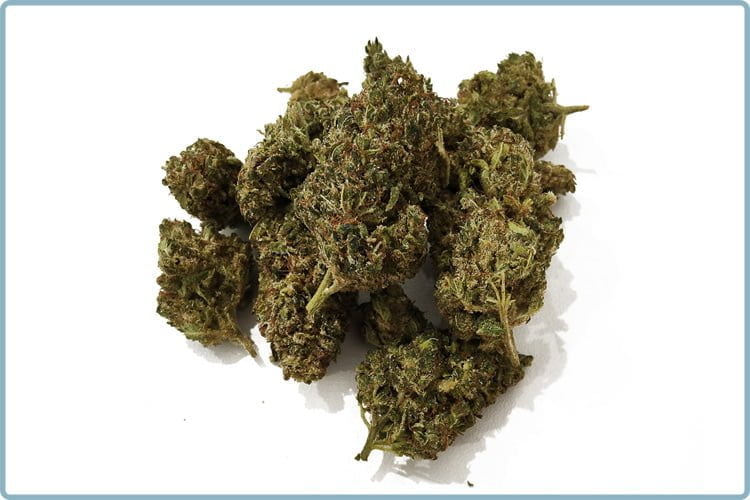 fleur-thcp-sweet-dreamz-nautral-blossom | Ciga France ® fleur-thcp-sweet-dreamz-nautral-blossom