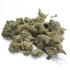 fleur-de-cbd-G13-indoor-FB-High-cbd--natural-blossom
