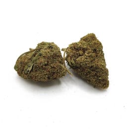 fleur-cbd-FB-high-v2-Lifter-glasshouse