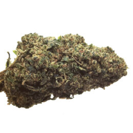 fleur-cbd-gorilla-glue-thv2-gorillazz