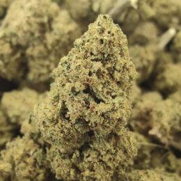 Fleur de CBD Creamy Hendrix (Honey Cream) 15% - Natural Blossom
