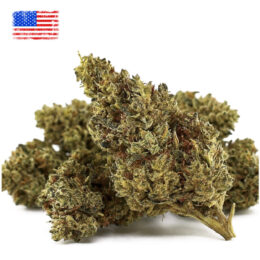 fleur-cbd-d10-critikali-critical-2.0